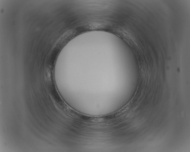 X0000074010214200608211051