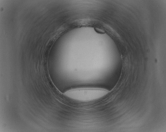 X0000074010217200608211051
