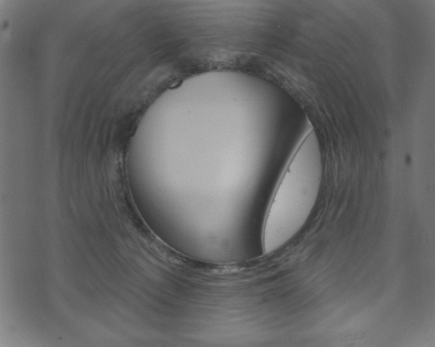 X0000074010225200608211051