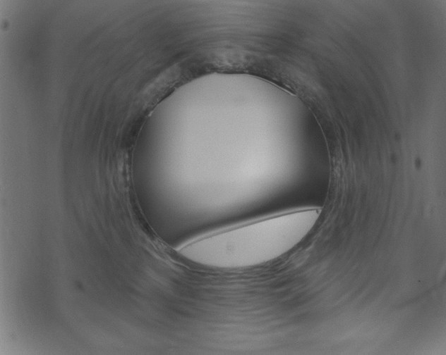 X0000074010233200608211051