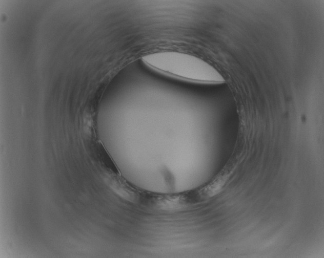 X0000074010235200608211051