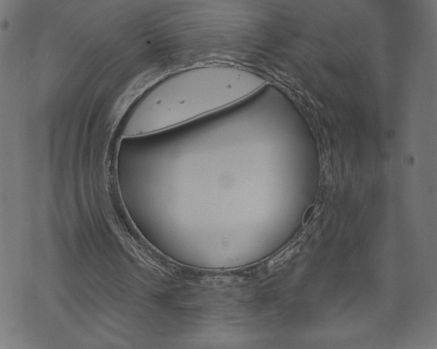 X0000074010242200608211050