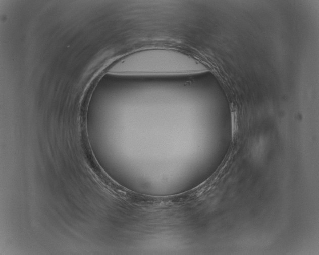 X0000074010243200608211050