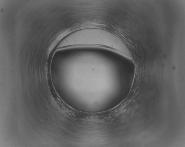 X0000074010244200608211050