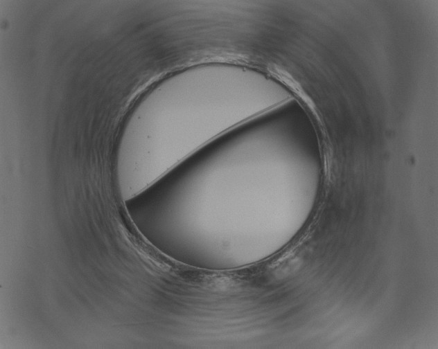 X0000074010249200608211050