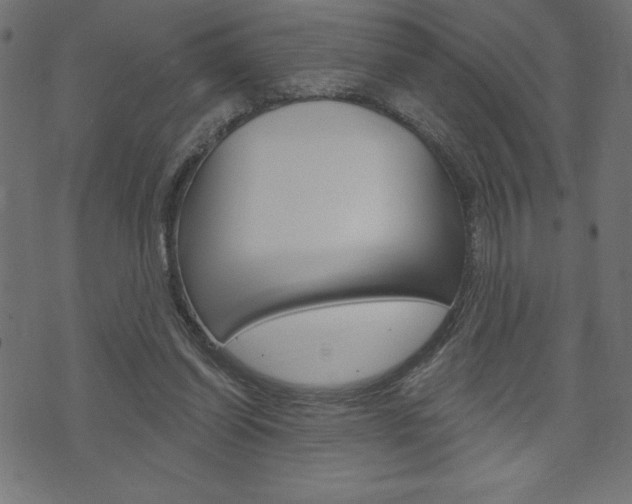 X0000074010254200608211051