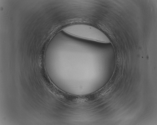 X0000074010255200608211051