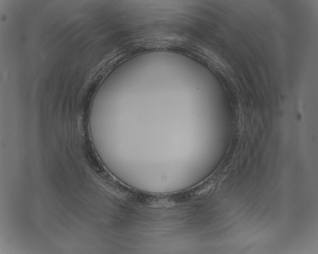 X0000074010258200608211051