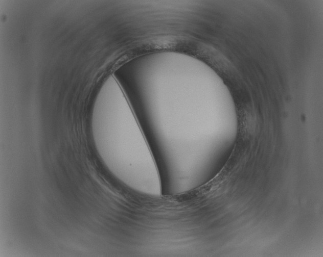 X0000074010262200608211051