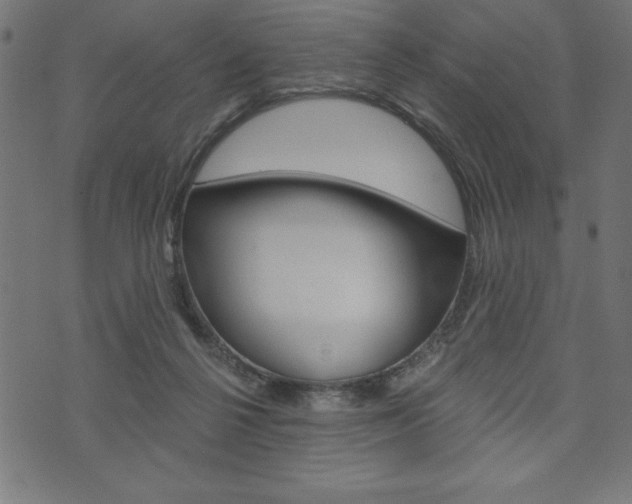 X0000074010264200608211051
