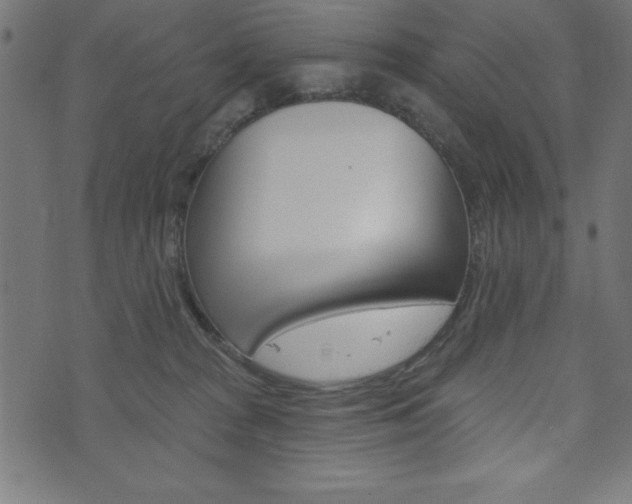 X0000074010277200608211051