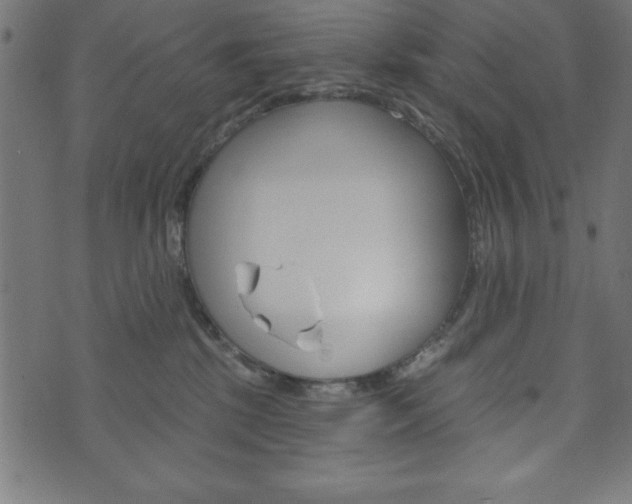 X0000074010281200608211051