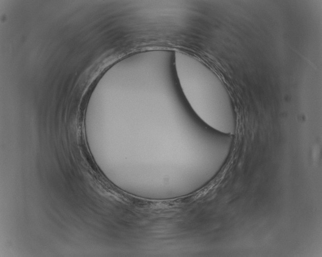 X0000074010290200608211050