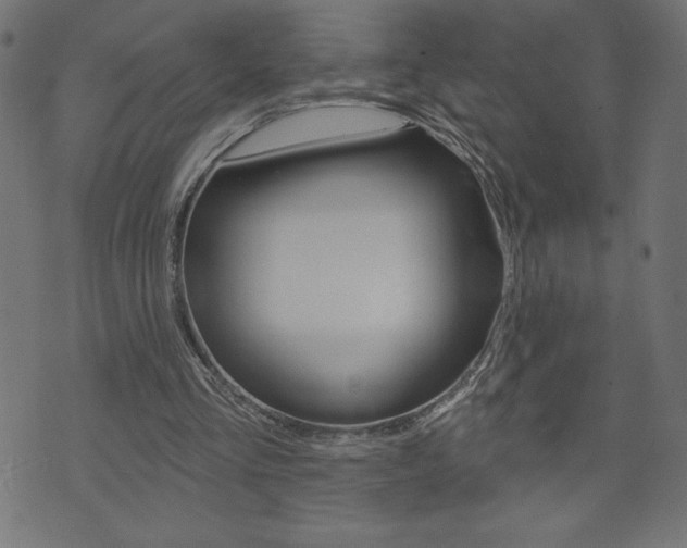 X0000074010293200608211050