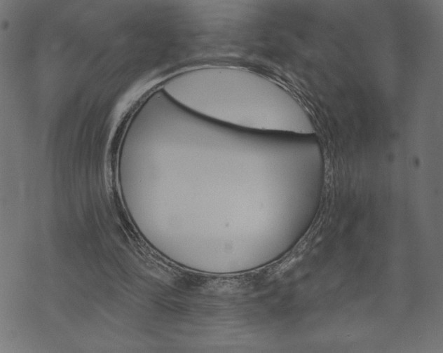 X0000074010294200608211050