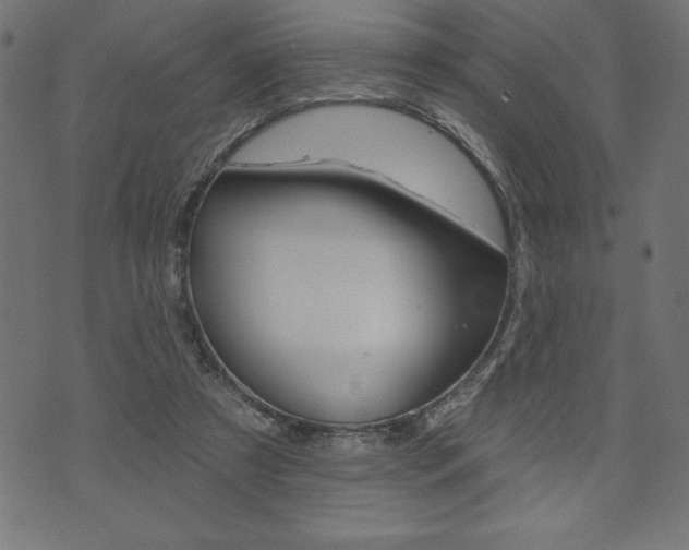 X0000074010305200608211050