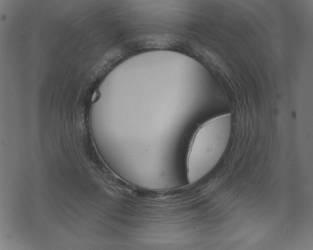 X0000074010312200608211050
