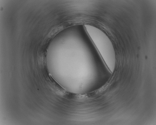 X0000074010333200608211050