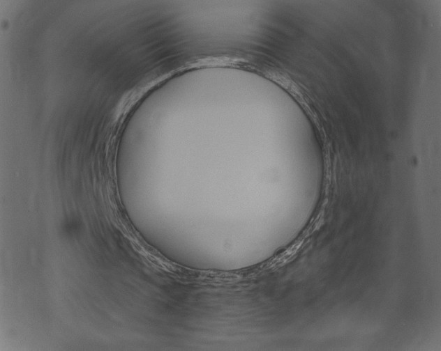 X0000074010337200608211049