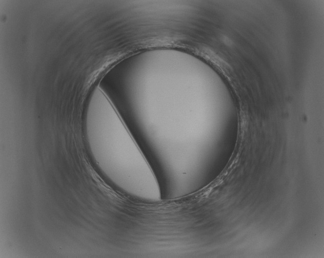 X0000074010345200608211049