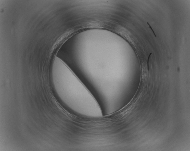 X0000074010349200608211049