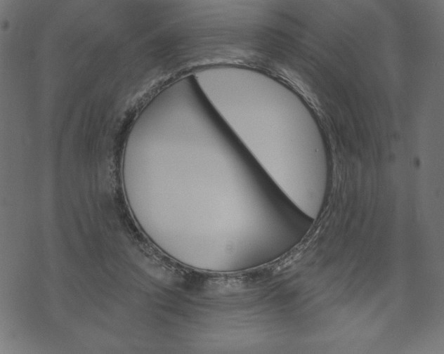 X0000074010354200608211049