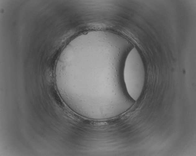X0000074010355200608211049