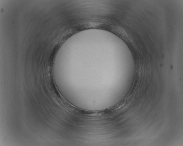 X0000074010366200608211049