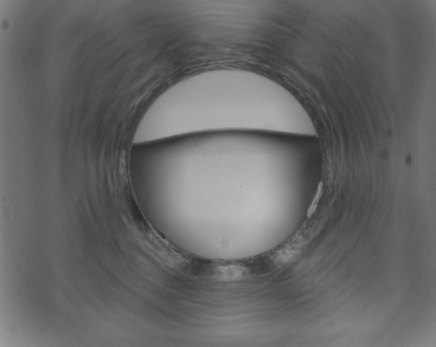 X0000074010376200608211049