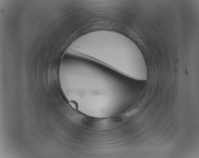 X0000074010382200608211049