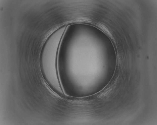 X0000074010389200608211049