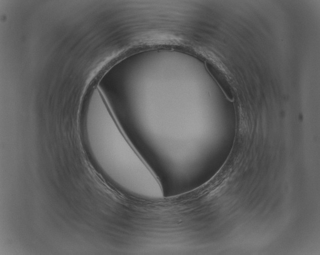 X0000074010391200608211049