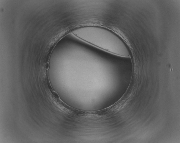 X0000074010393200608211049