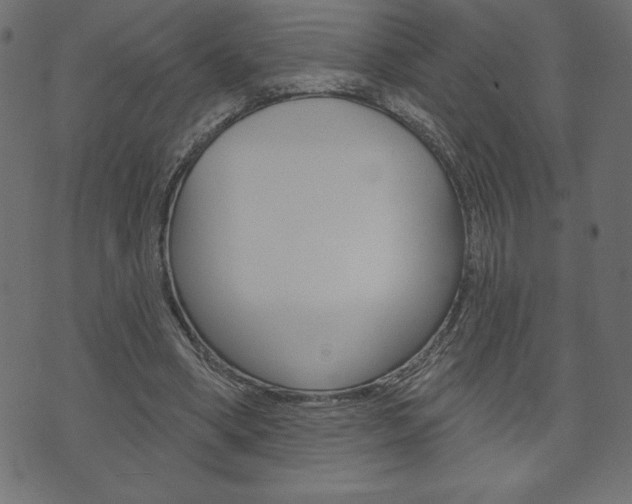 X0000074010394200608211049