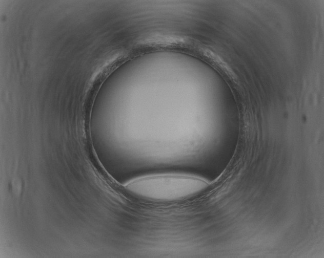 X0000074010399200608211048