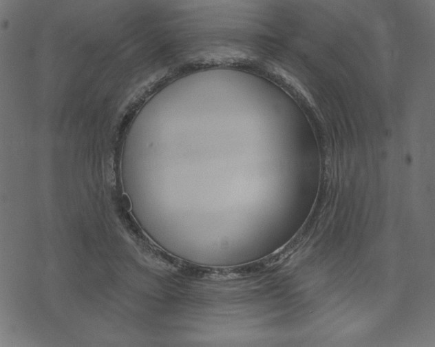 X0000074010403200608211048