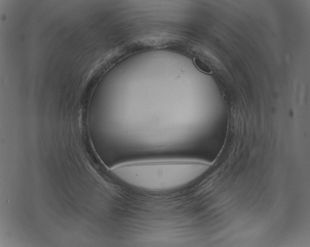 X0000074010404200608211048