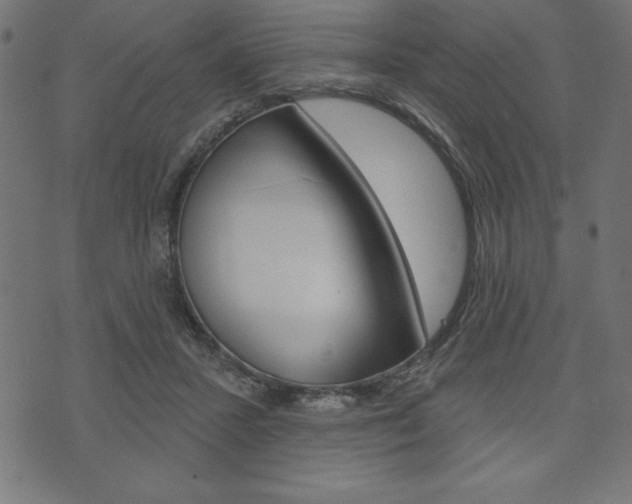 X0000074010407200608211048