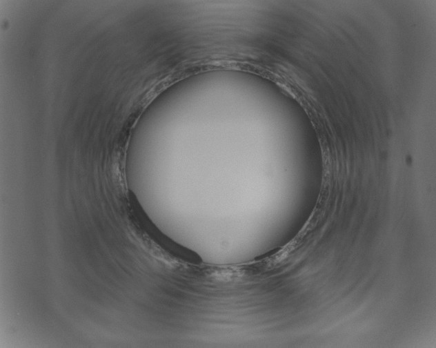 X0000074010415200608211048