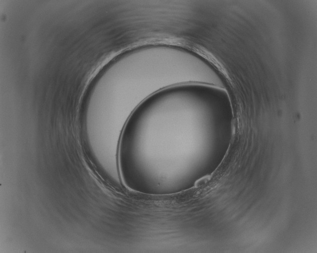 X0000074010436200608211047