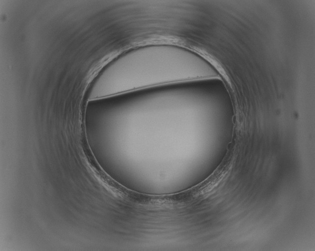 X0000074010437200608211047