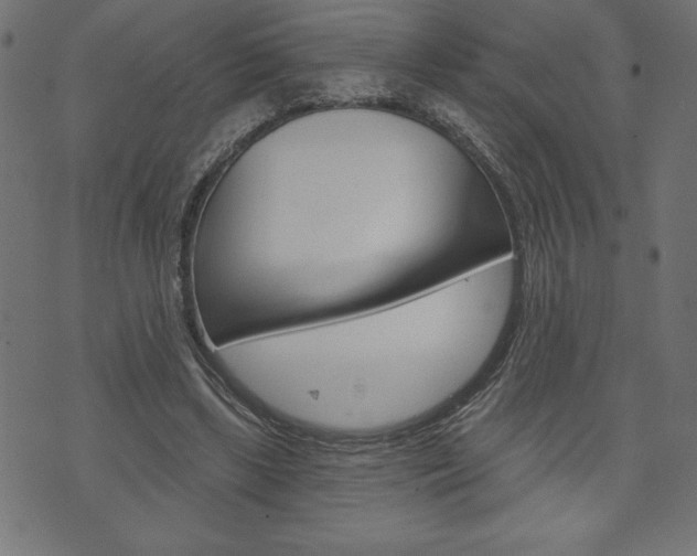 X0000074010443200608211047