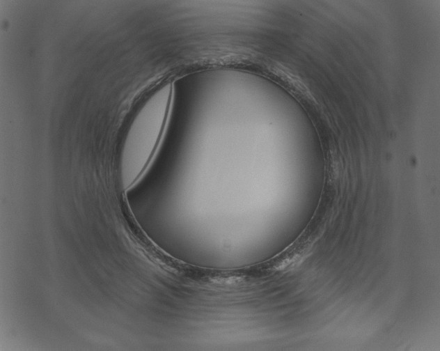 X0000074010450200608211047