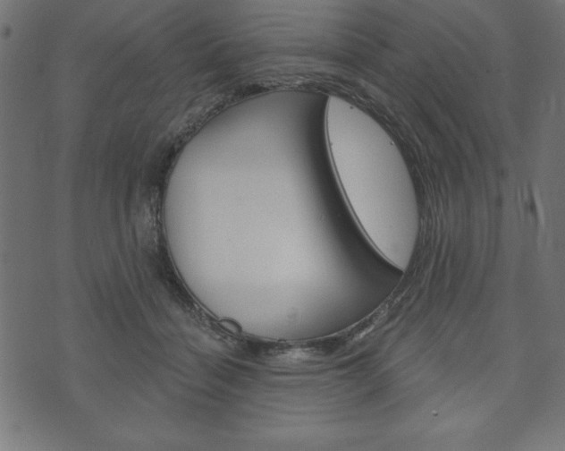 X0000074010460200608211048