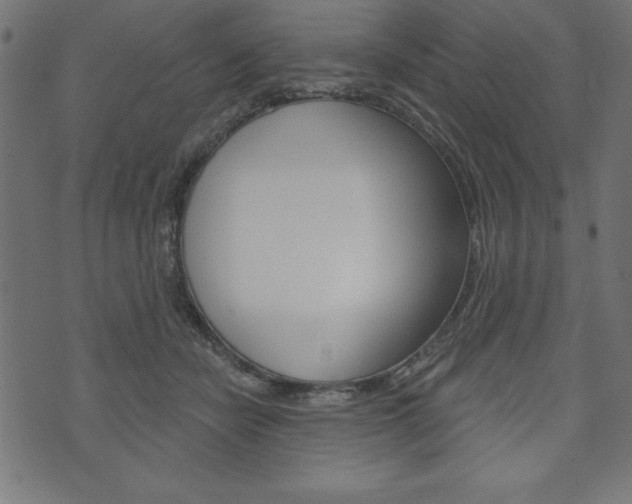 X0000074010462200608211048