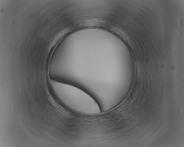 X0000074010482200608211047
