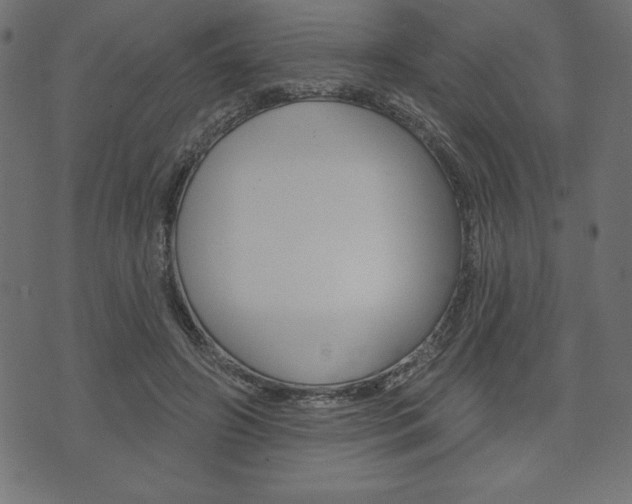 X0000074010498200608211047