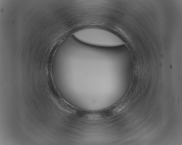 X0000074010500200608211047