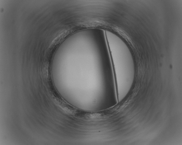 X0000074010501200608211047