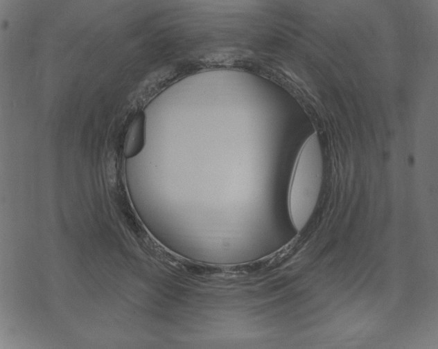 X0000074010504200608211047